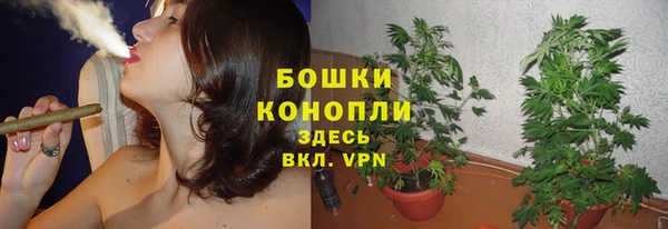 прущие крисы Богданович