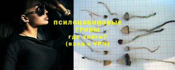 прущие грибы Богородицк
