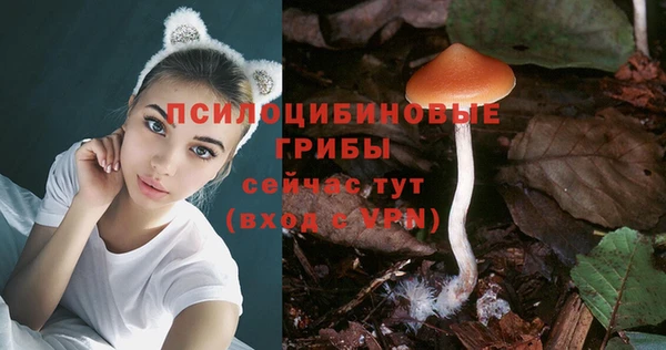 2c-b Богородск